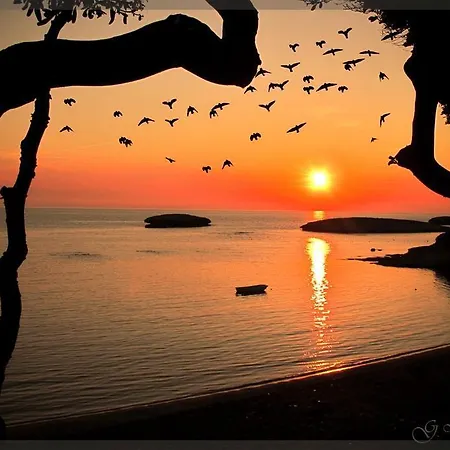 L' Oleandro - Romantica Apartament